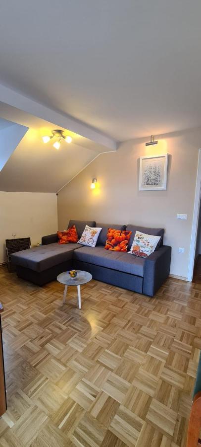 Apartment Kranj - Huge Terrace, Free P, Wi - Fi, Ac Zewnętrze zdjęcie