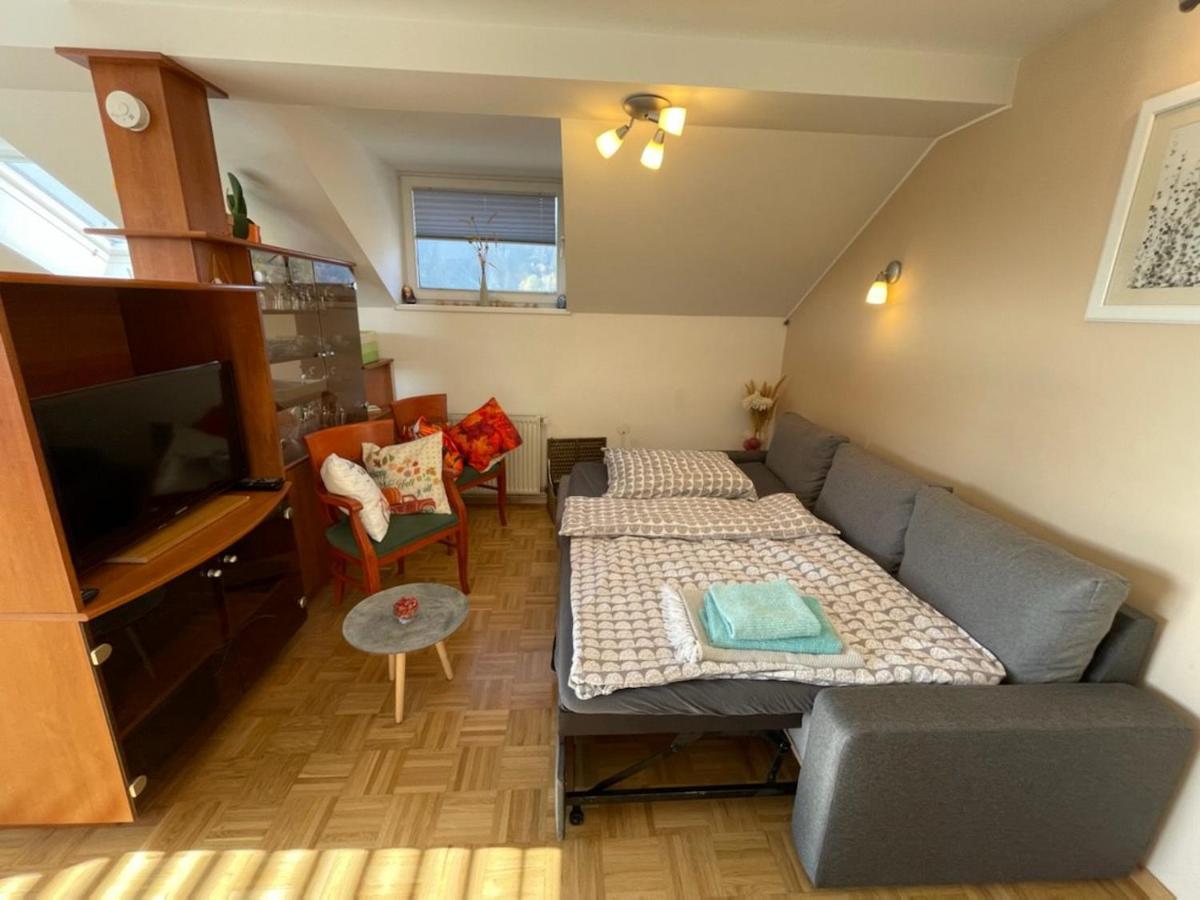 Apartment Kranj - Huge Terrace, Free P, Wi - Fi, Ac Zewnętrze zdjęcie